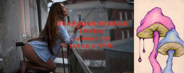 круглые Абаза
